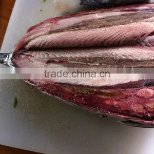 Frozen Eastern Pacific Bonito Whole Round- Auxis Tapeionsoma thumbnail-2