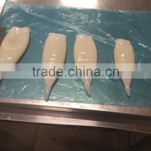 HACCP,QS Certification Frozen Illex Squid Tube thumbnail-1