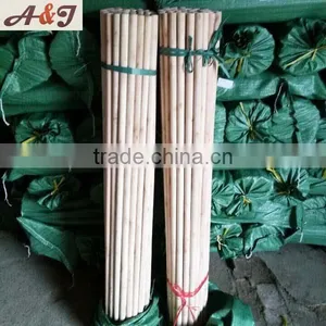 One-time Polished Smooth Wooden Handle Stick Genetic Thread thumbnail-6
