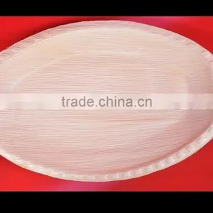 ARECA DISPOSABLE PLATES thumbnail-4