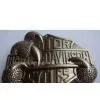 Bagde thumbnail-1
