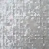 Whitelip Mother of Pearl thumbnail-2