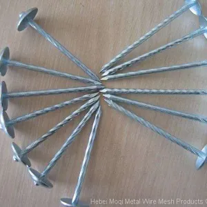 Smooth Shank Galvanized Umbrella Roofing Nail/common Nail/nail Making Machine thumbnail-4