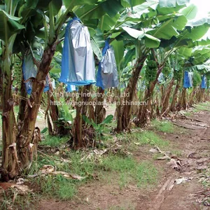 PE With UV Banana Cover thumbnail-2