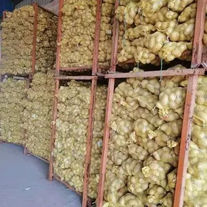 Qingdao Kun Jia Yuan Food Co.,Ltd. company overview - view 2 thumbnail