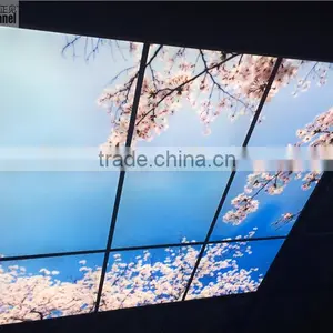 2015 Japanese Style Sakura Sky Ceiling Panel thumbnail-5