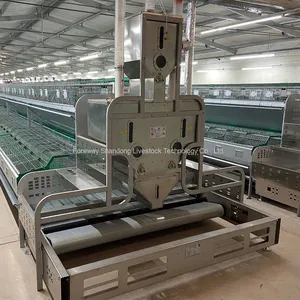 Manure Longitudinal Conveyor Belt thumbnail-2
