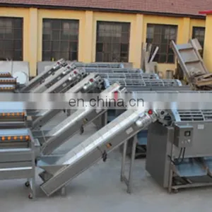Vegetable and Fruit Avocado Garlic Tomato Pomelo Pomegranate Cherry Washing Grading Sorting Machine thumbnail-4