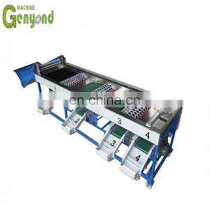 Onion Garlic Sorting and Grading Machine thumbnail-5
