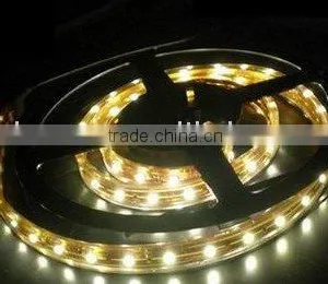 Epoxy Coat + PE Cannula / Waterproof 300pcs 5050 SMD Flexible Led Strip thumbnail-1