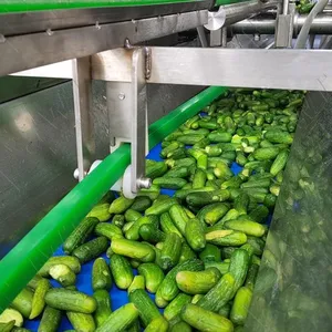 Professional Full Automatic Canned Chili Production Line thumbnail-2