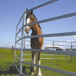 Hot Dipped Galvanized Cattle Fence Fixed Knot Field Fence for Ranch Livestock thumbnail-1