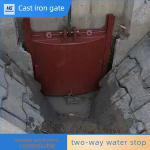 Cast Iron Gate Hoist, Integrated Gate and Sluice, Channel Water Conservancy Gate, Strong Corrosion Resistance thumbnail-3