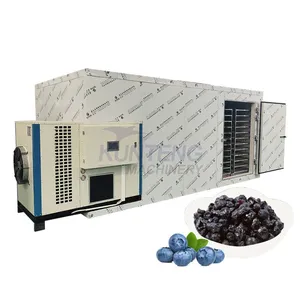Blueberries Dryer Machine Cranberries Drying Machine Kiwi Drying Equipment EPC thumbnail-1