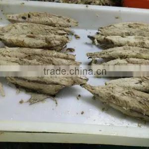 Pre-cooked Bonito Tuna Loin Exporter thumbnail-1