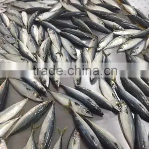 Canned Mackerel Manufacturers thumbnail-3