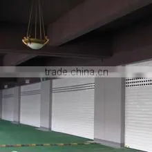 Automatic Sectional Garage Door thumbnail-1