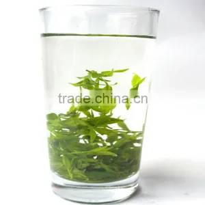 Premium Slimming Tea Sweet ku Ding Bitter Butyl Herbal Tea Small Leaf Kuding Green Tea thumbnail-3