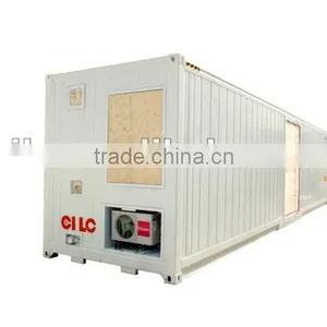 Ten Years of Professional Manufacture 20' Shipping Container thumbnail-1