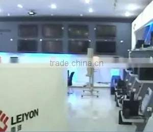 Guangdong Leiyon Intelligence Technology Corp company overview - view 2 thumbnail