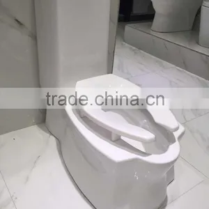 YL1025 Popular Design Double Use Siphonic One Piece Toilet thumbnail-5