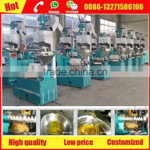 Big Profit Peanut Seed/ Groundnut Oil Machine With Low Cost thumbnail-2