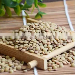 Chinese Lentils Green Colour thumbnail-1