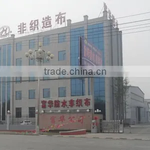 Shandong Weifang Fuhua Waterproof Materials Co., Ltd. company overview - view 1 thumbnail
