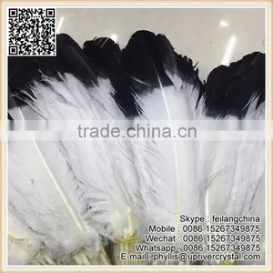 Wholesale Imitation Eagle Feather Top Quality Best White Turkey Black Tip Feather thumbnail-3