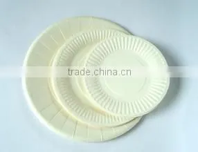 Best Selling ZDJ-500 Take Away Plate Machine thumbnail-2