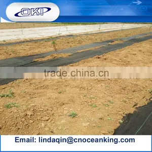 Agricultural PP Weed Control Mat thumbnail-1