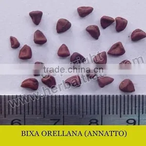 ANNATTO SEEDS thumbnail-1