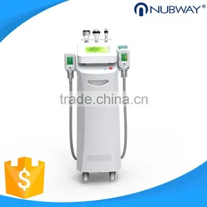 Body Shaping Hot Sale Cryolipolysis Fat Reduction Loss Weight Cryolipolysi Lipofreeze Cool Slimming Machine Skin Tightening thumbnail-2