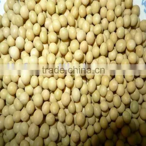 Non-Gmo Yellow Soybeans/soya Bean 2010 thumbnail-1