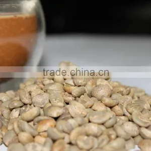 GMO Arabica Coffee Bean Price thumbnail-2