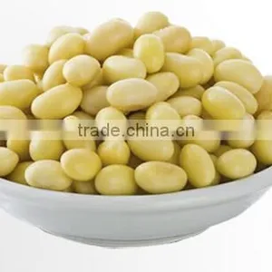 Manufacturer Supply Soybean Lecithin Powder thumbnail-4