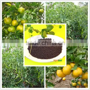 A Great Fertilizer TE Trace Element Fertilizer thumbnail-1