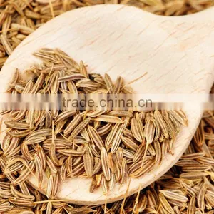 Cumin Seeds thumbnail-1