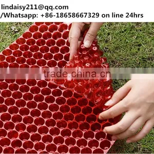 353 Cell Hydroponic Clear PVC Rice Transplanter Germination Tray, 65g thumbnail-1