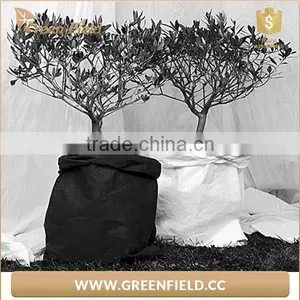 Flower Grow Pots Garden Bag Planter Indoor Kraft Paper Grow Bags thumbnail-4