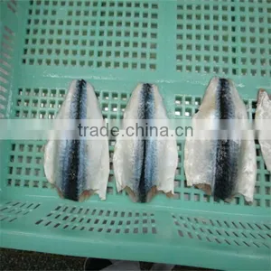 Best Season Frozen Mackerel Price thumbnail-1