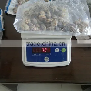 High Quality Hot Sales Rozen Vacuum Packed Cooked Short Necked Clam thumbnail-5