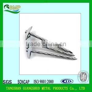Iron Material and Roofing Nails Type Cheap and High Quality Zinc Galvanized Nails thumbnail-5