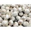 China (Mainland) Chinese Super Garlic thumbnail-1