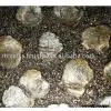 Shell Mosaic Tiles / Shell Panel / Decorative Wall Cladding thumbnail-1
