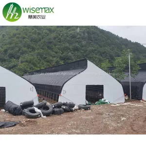 Hot Slae Agricultural Polythene Film Covered Mushroom Green House thumbnail-3