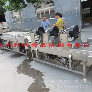 Jujube Cleaning Machine, Jujube Cleaning Line, Jujube Processing Equipment thumbnail-3