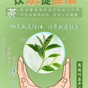 How Much is the Price of Enshi Yulu Tea? Enshi Yulu Bulk Wholesale Hubei Enshi Yulu Tea thumbnail-5