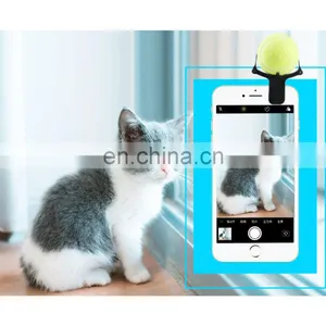New Design Dog Cat Pet Selfie Stick Rod Dog Cat Take Photos Training Toy Flower Phone Clip Selfie Clip thumbnail-4