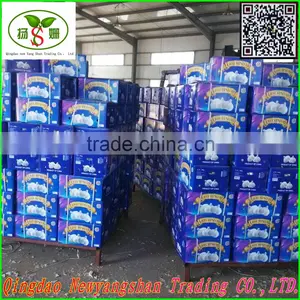 Not the Best;Only Better!Pure White Garlic/white Garlic Exports thumbnail-3